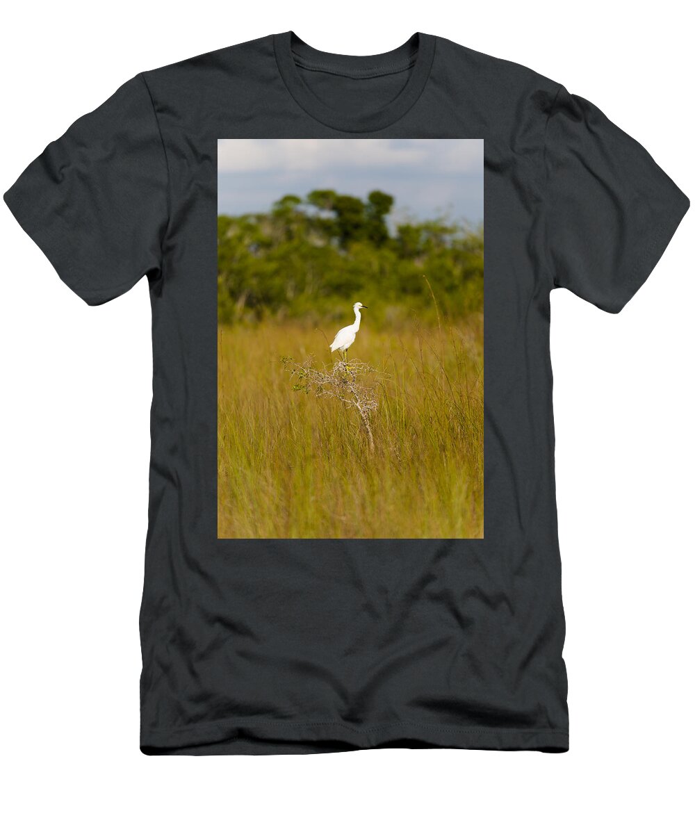 Egret T-Shirt featuring the photograph Snowy Egret by Raul Rodriguez