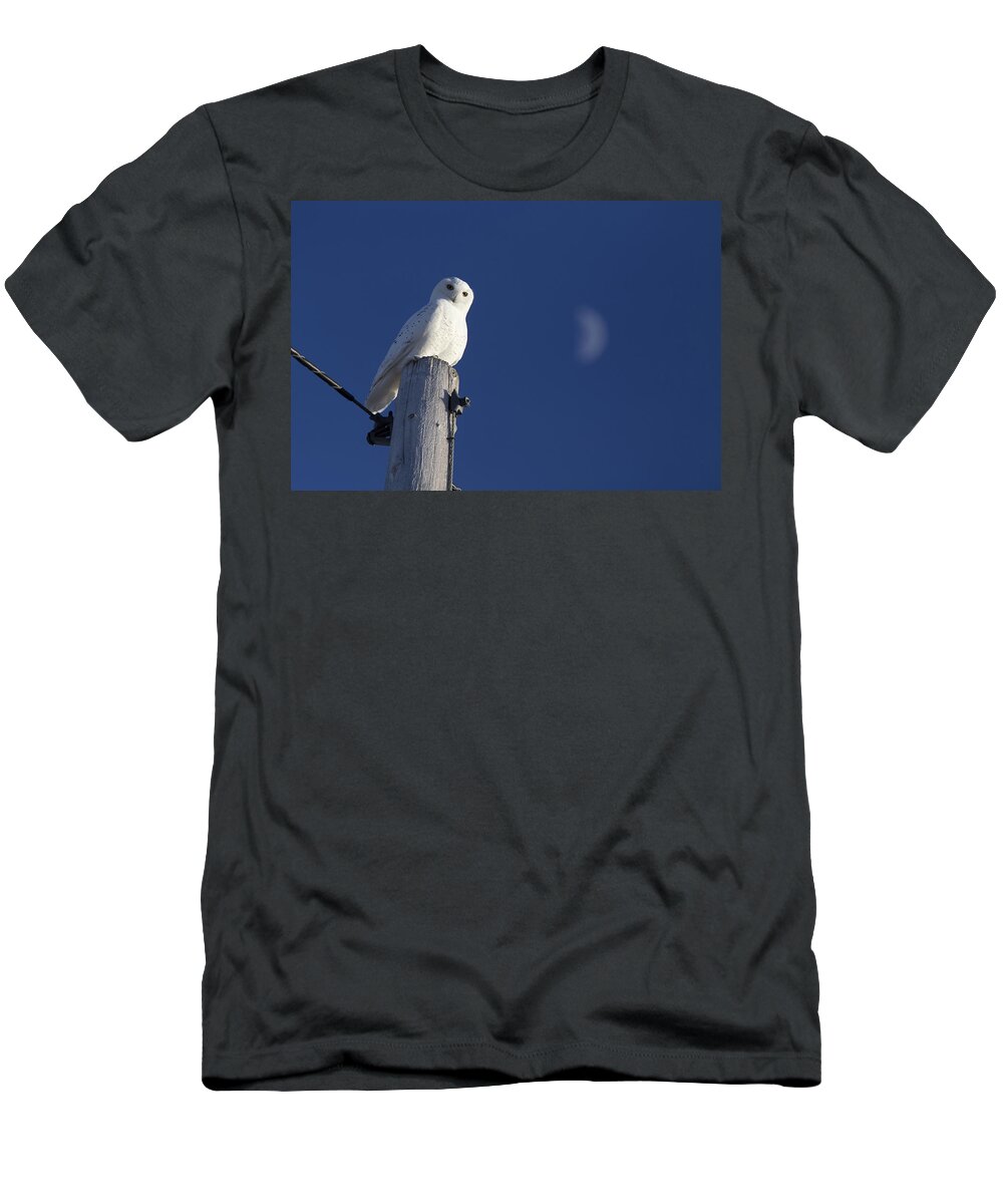 White T-Shirt featuring the photograph Snowy Owl by Mark Duffy