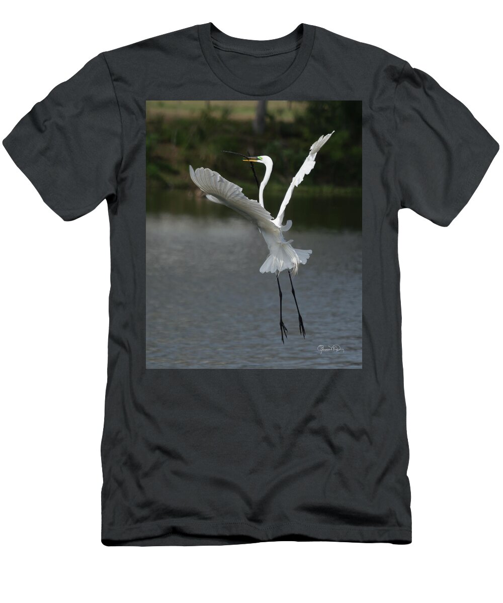 susan Molnar T-Shirt featuring the photograph So You Think You Can Dance by Susan Molnar