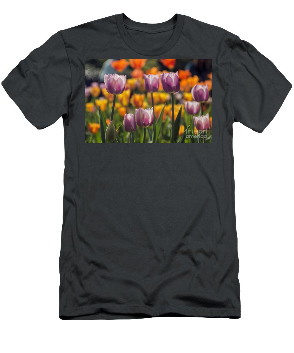 Fresh T-Shirt featuring the photograph Soak Up The Sun by Peggy Hughes