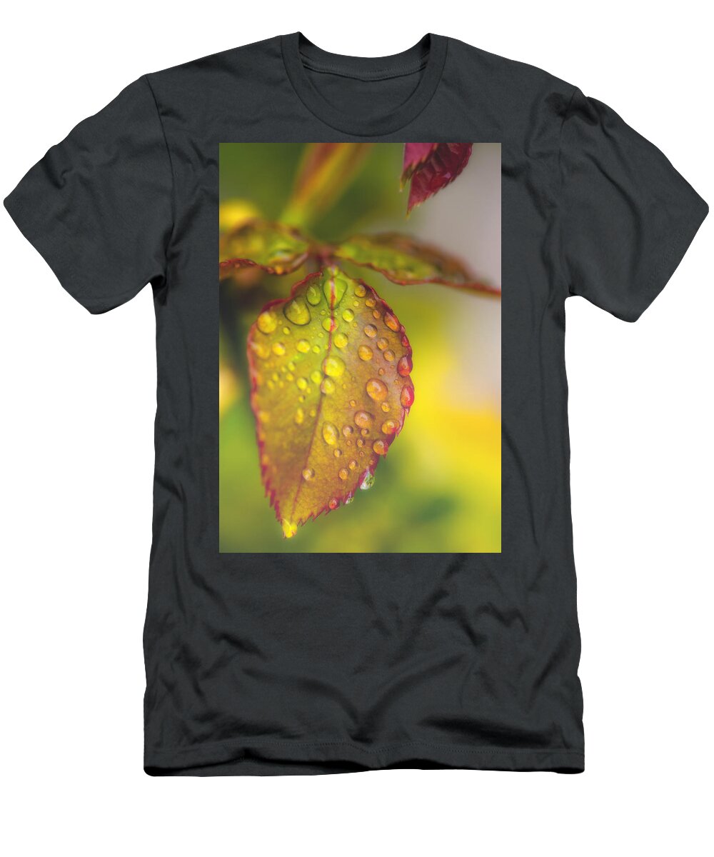 Leaf T-Shirt featuring the photograph Soft Morning Rain by Stephen Anderson