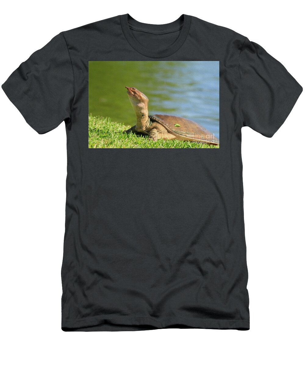 Turtle T-Shirt featuring the photograph Soft Shell Oil by Deborah Benoit
