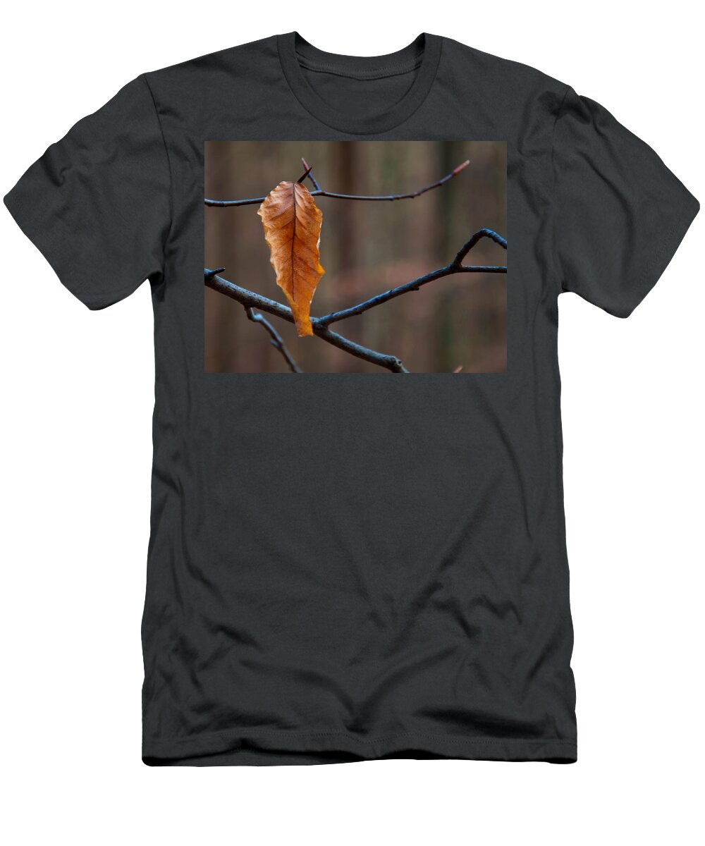 Flowers T-Shirt featuring the photograph Solitary Leaf by Flees Photos