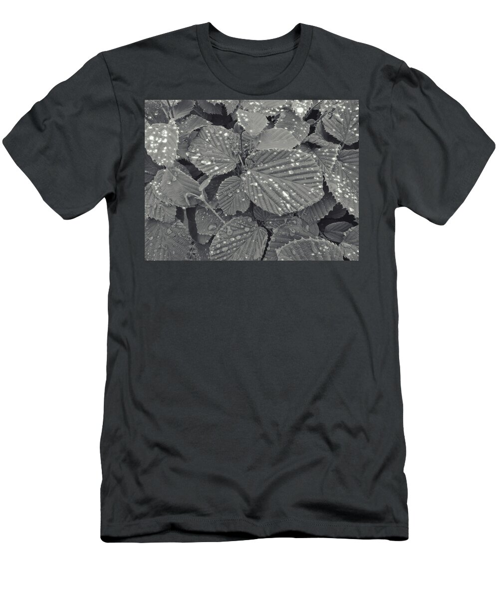Leaves T-Shirt featuring the photograph Sparkling Leaves by Cathy Anderson