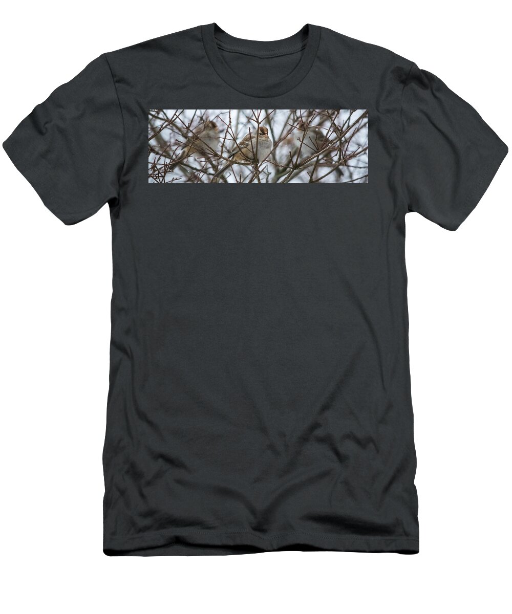 Sparrow T-Shirt featuring the photograph Sparrows in the Winter by Holden The Moment