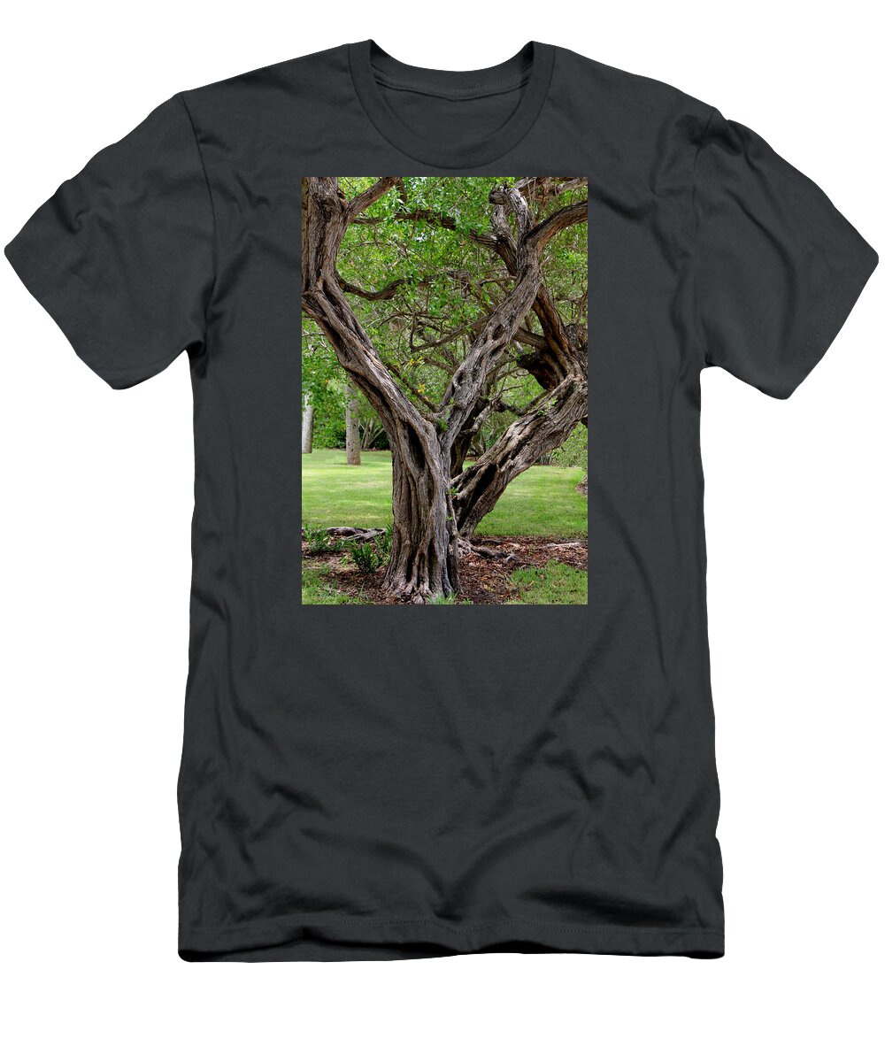 Tree T-Shirt featuring the photograph Spooky Tree by Rosalie Scanlon