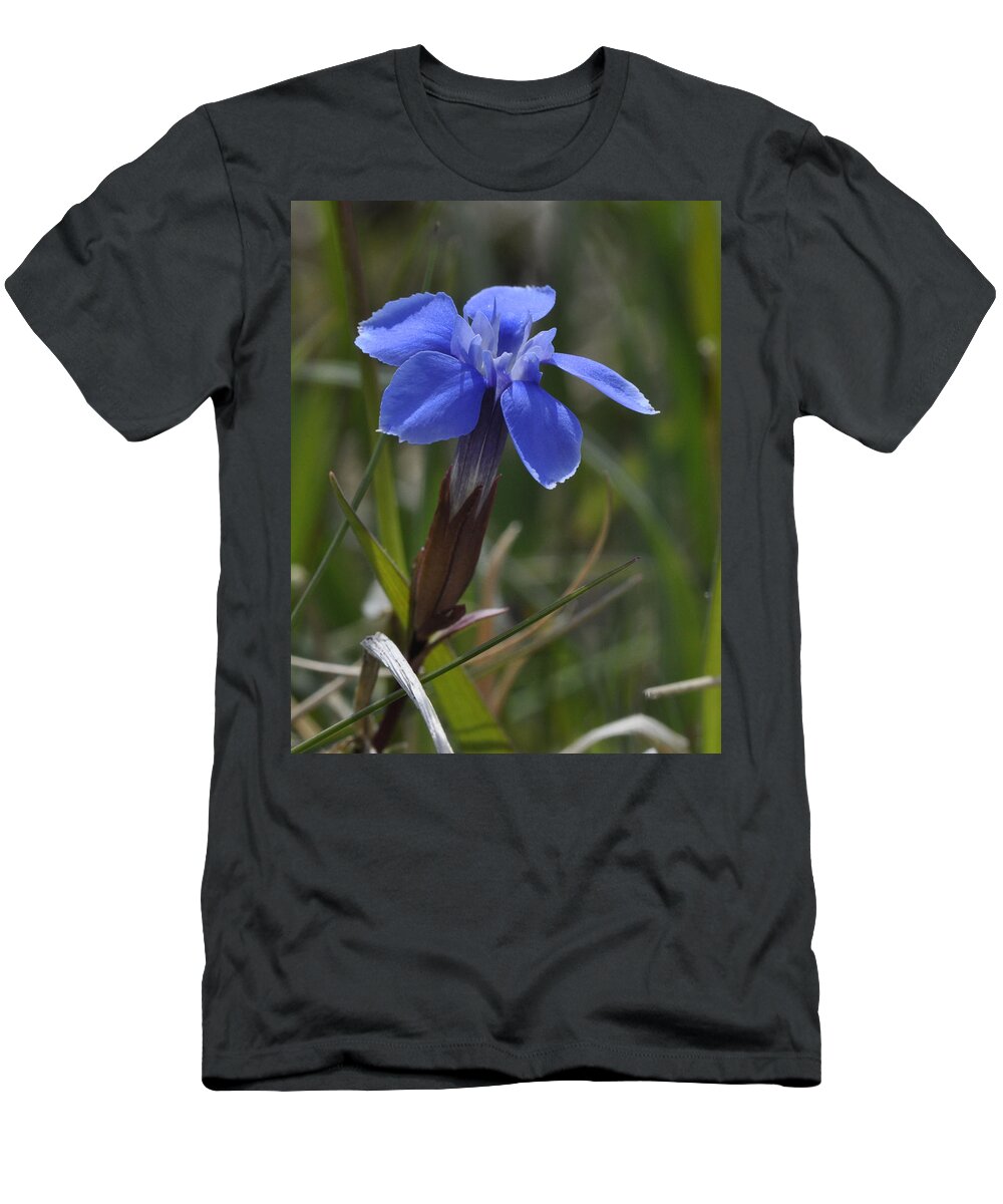 Spring Gentian T-Shirt featuring the photograph Spring Gentian by Rob Hemphill