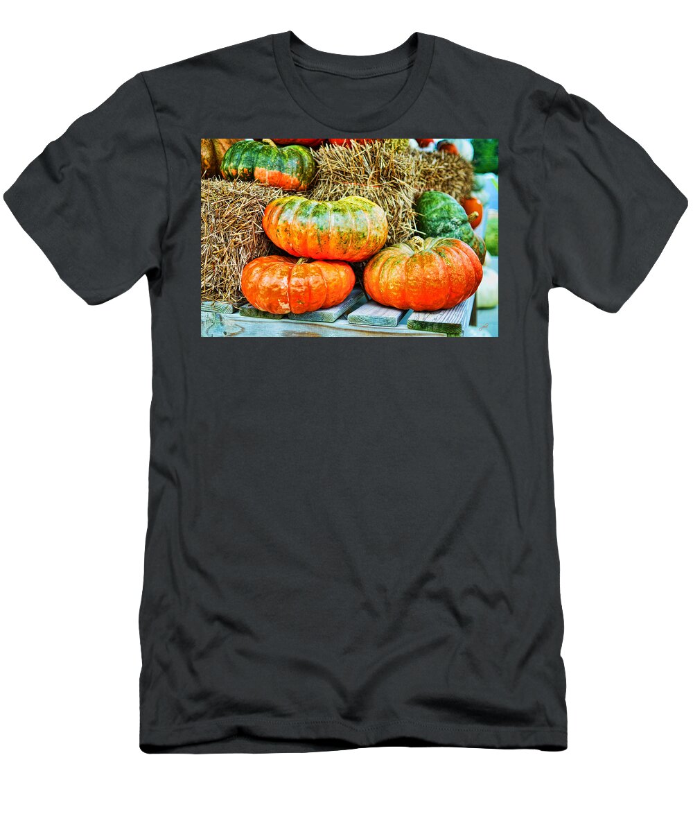 Outdoors T-Shirt featuring the photograph Squatty Orange Pumpkins by Paulette B Wright