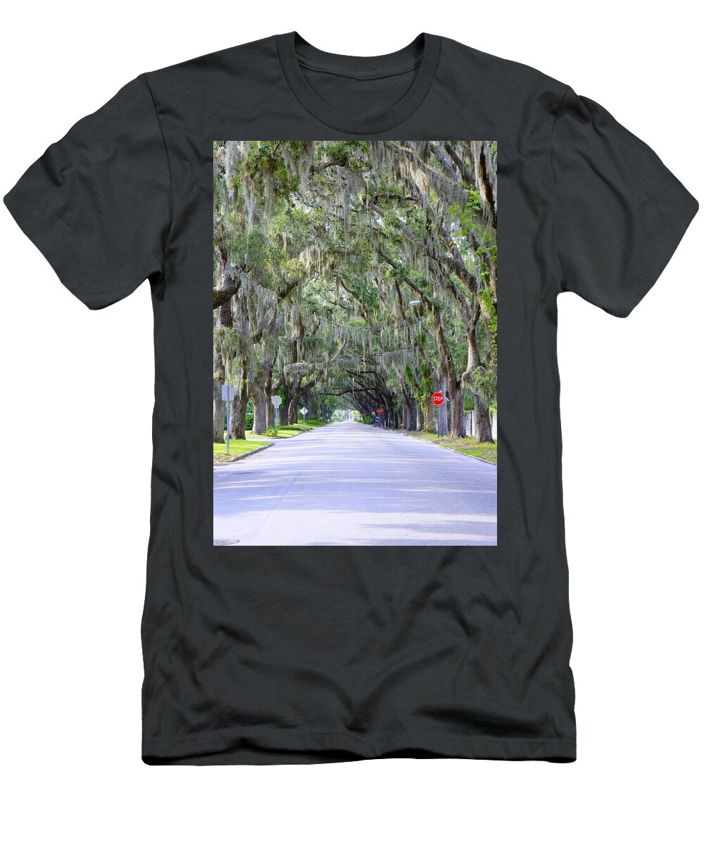 Oak T-Shirt featuring the photograph St. Augustine Road by Laurie Perry