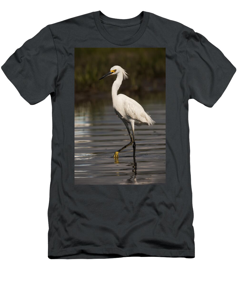 Snowy Egret T-Shirt featuring the photograph Standing Tall by Bob Decker