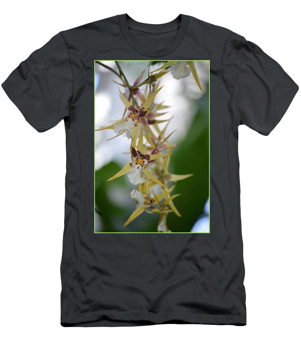 Anniversary Flower T-Shirt featuring the photograph Star orchids by Sonali Gangane