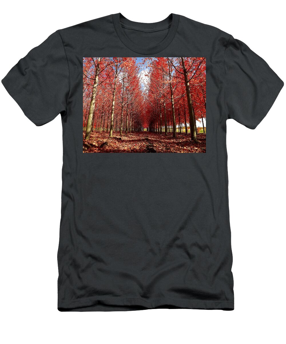 Autumn T-Shirt featuring the photograph Stay by Viviana Nadowski
