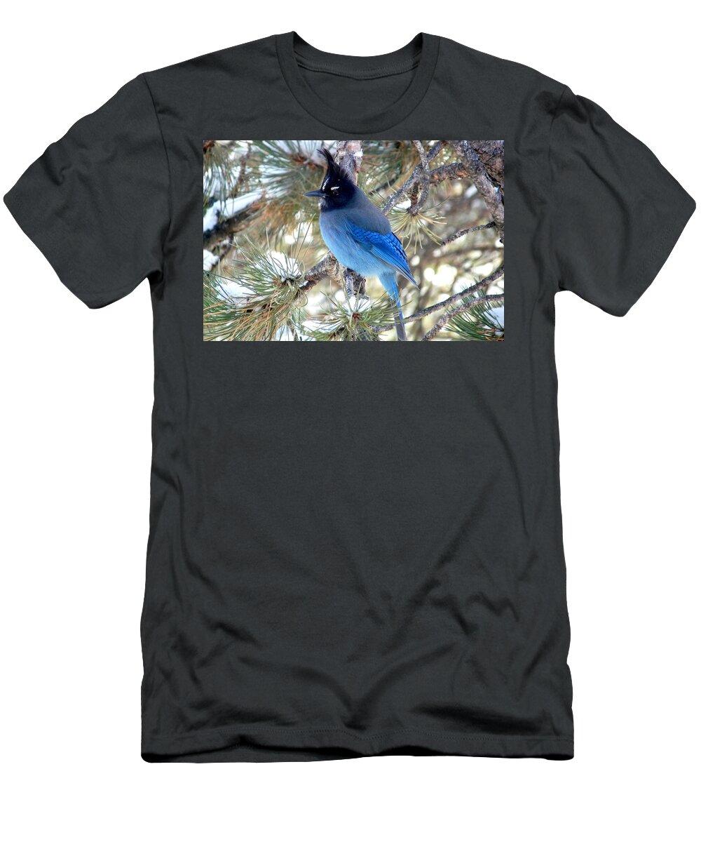 Colorado T-Shirt featuring the photograph Steller's Jay Profile by Marilyn Burton