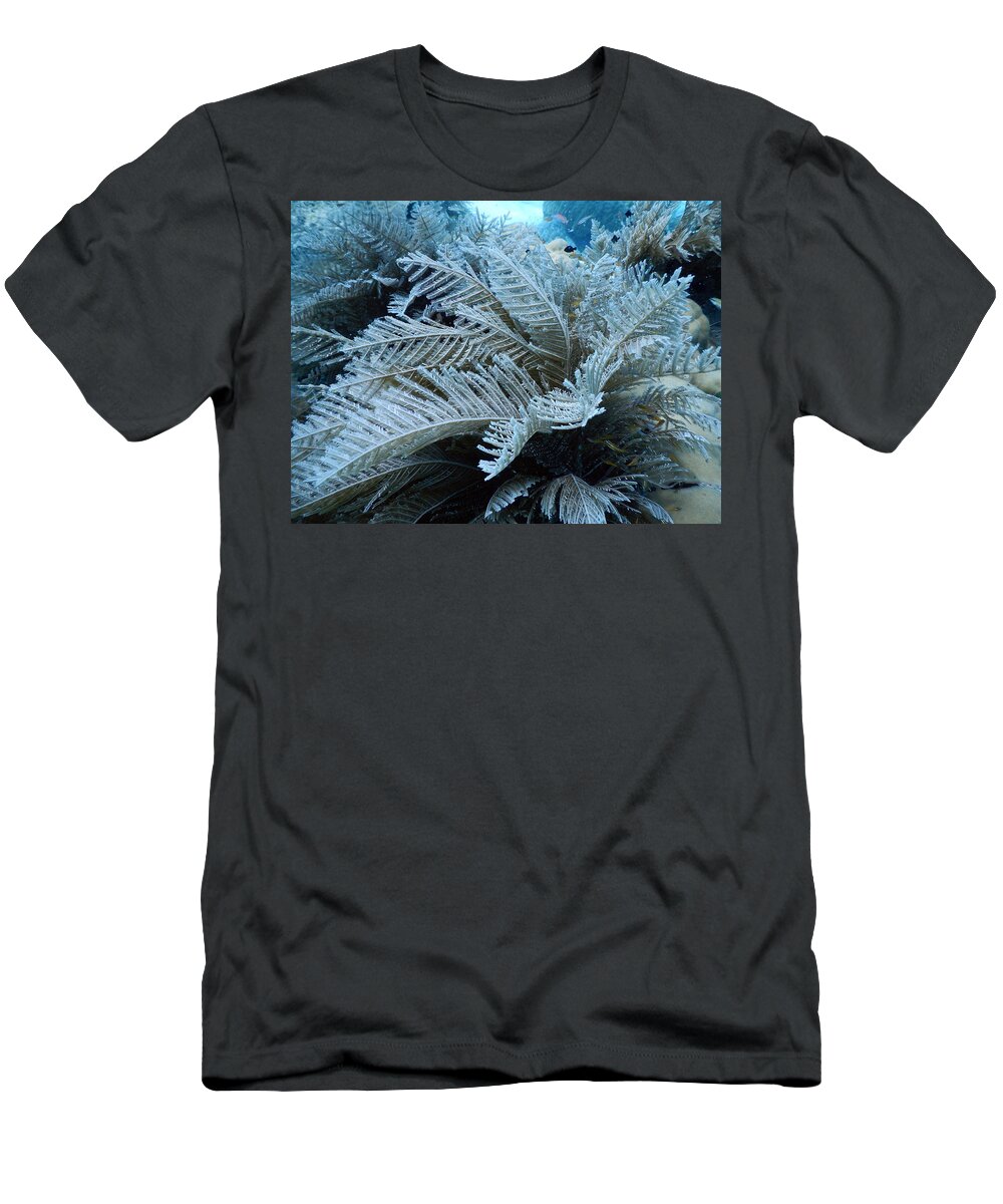 Agalophenia T-Shirt featuring the photograph Stinging Hydroid by Carleton Ray