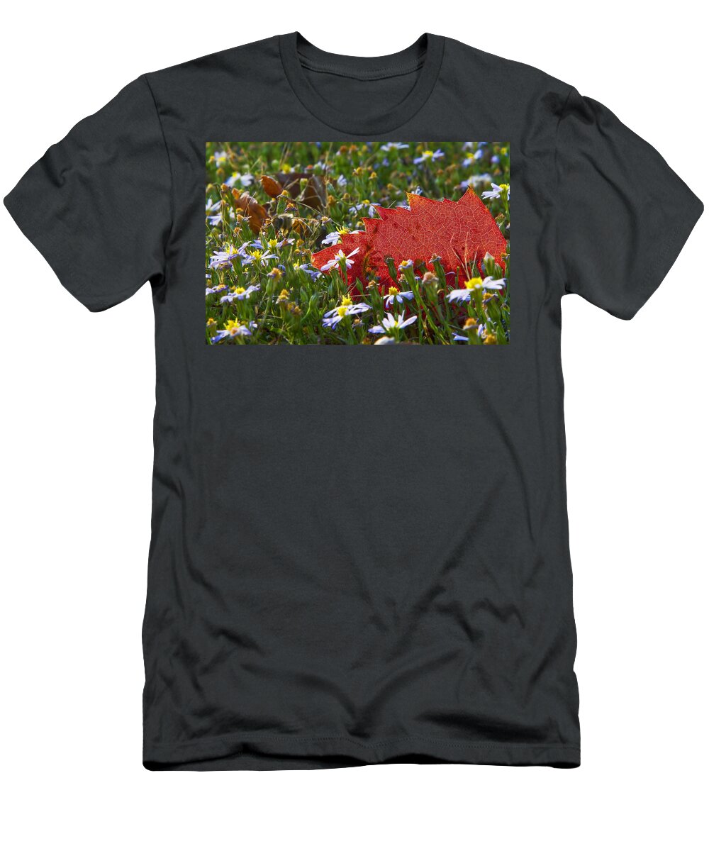 Winter T-Shirt featuring the photograph Stocking Up for the Winter by Gary Holmes