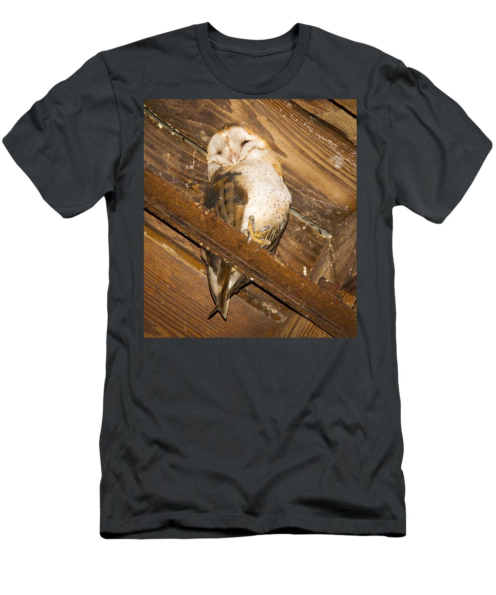 Owl T-Shirt featuring the photograph Stop bothering me by Jean Noren
