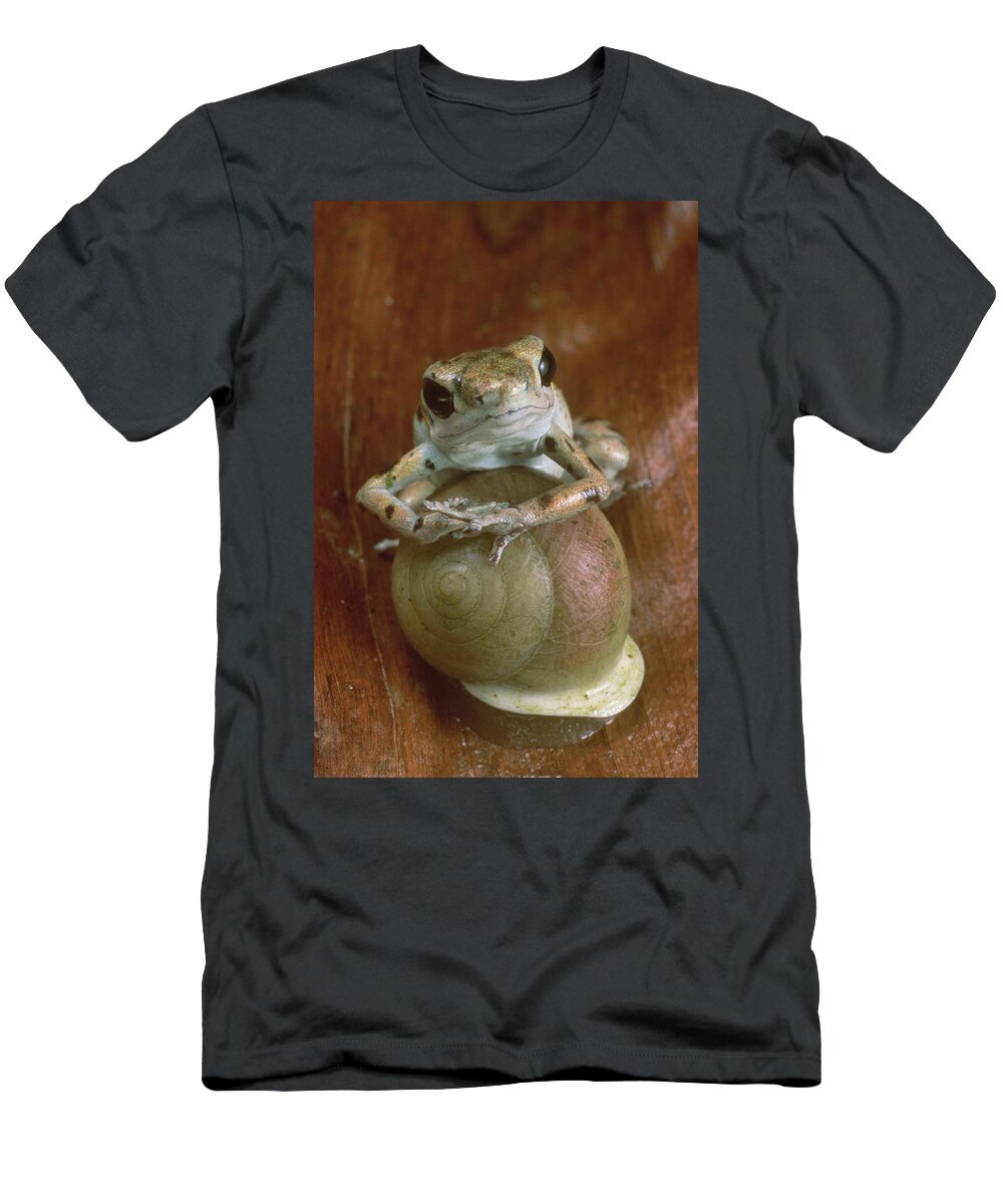 Feb0514 T-Shirt featuring the photograph Strawberry Poison Dart Frog Resting by Mark Moffett