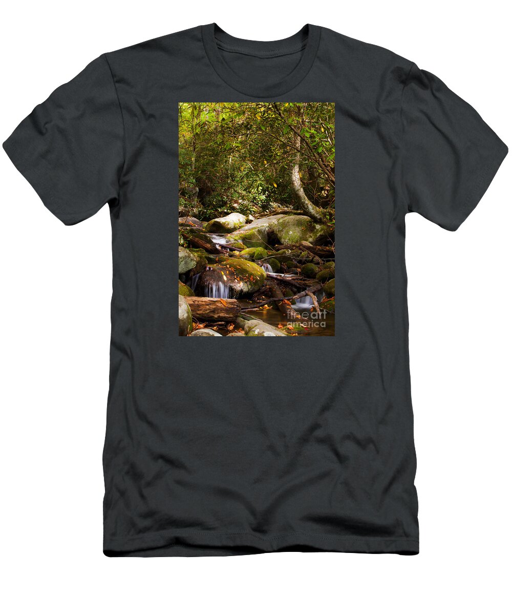 Stream T-Shirt featuring the photograph Stream at Roaring Fork by Lena Auxier