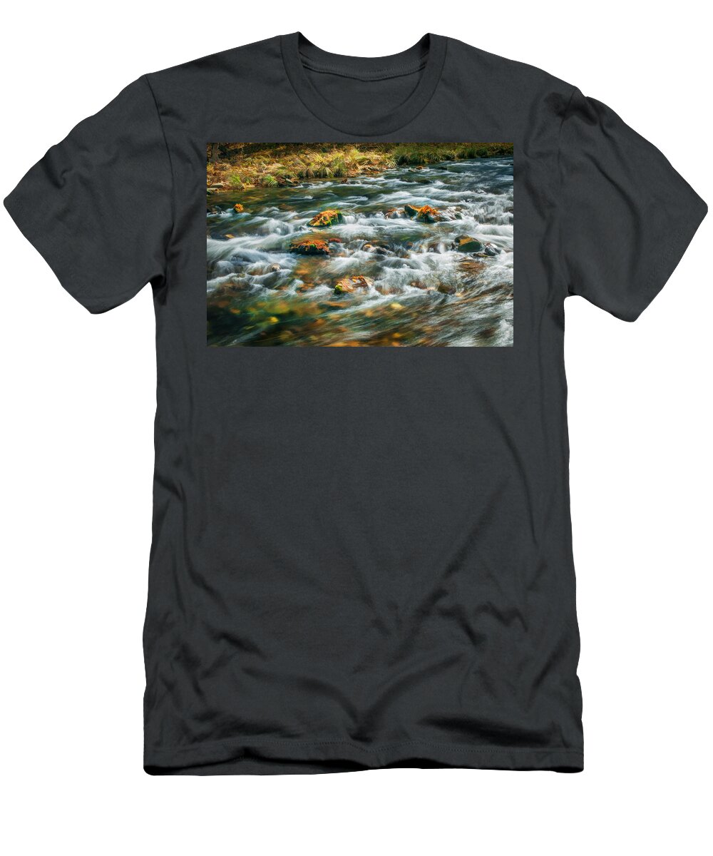 Stream T-Shirt featuring the photograph Stream Fall Colors Great Smoky Mountains Painted by Rich Franco