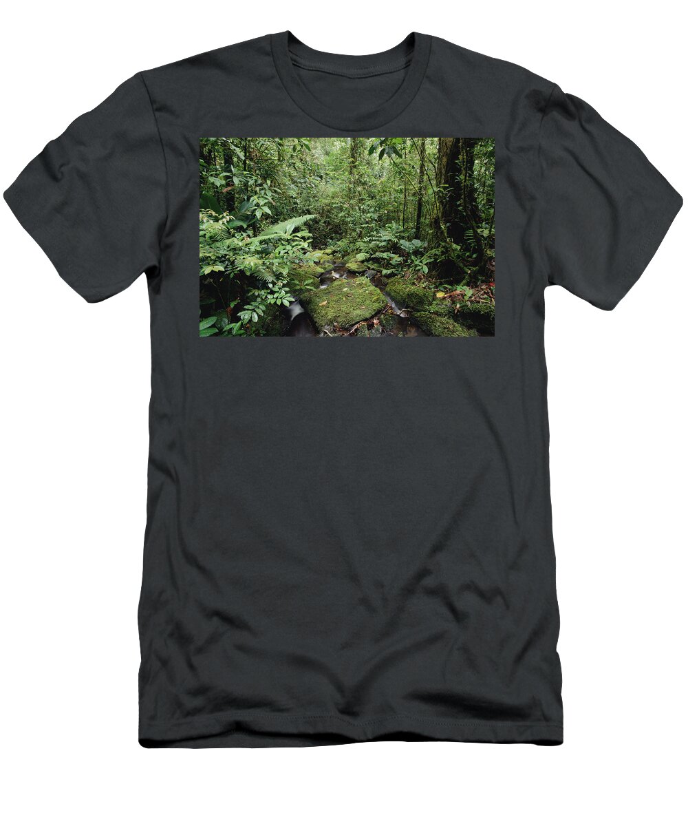 Feb0514 T-Shirt featuring the photograph Stream In Rainforest Mt Bosavi Papua by Gerry Ellis