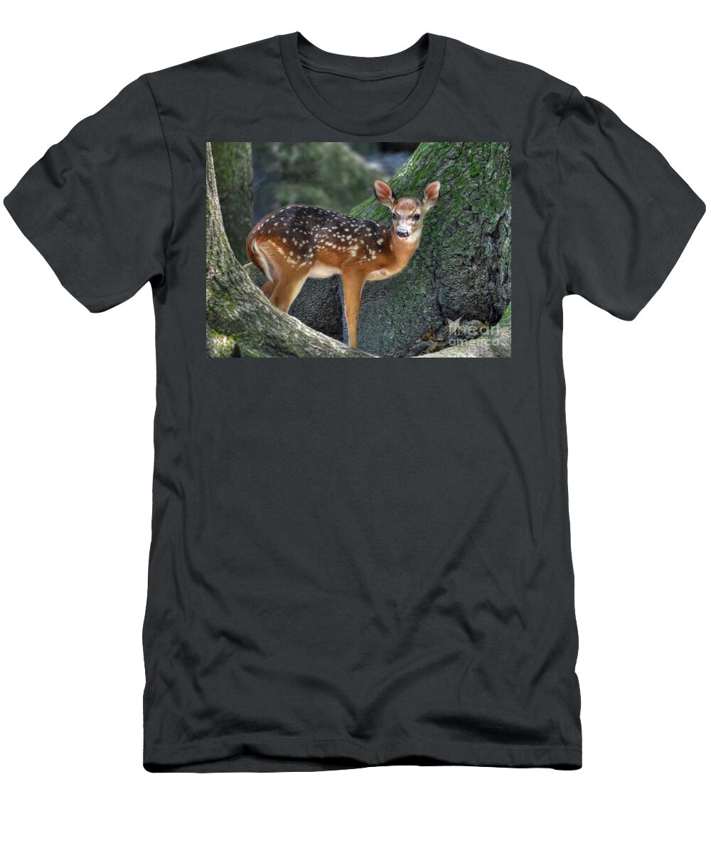 Deer T-Shirt featuring the photograph Such A Deer by Kathy Baccari