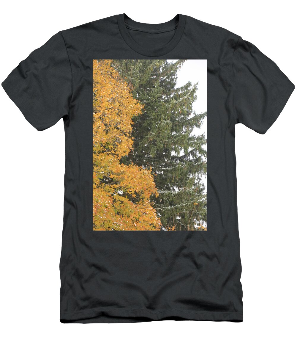 Christmas Tree T-Shirt featuring the photograph Sugar Maple and Evergreen by Valerie Collins