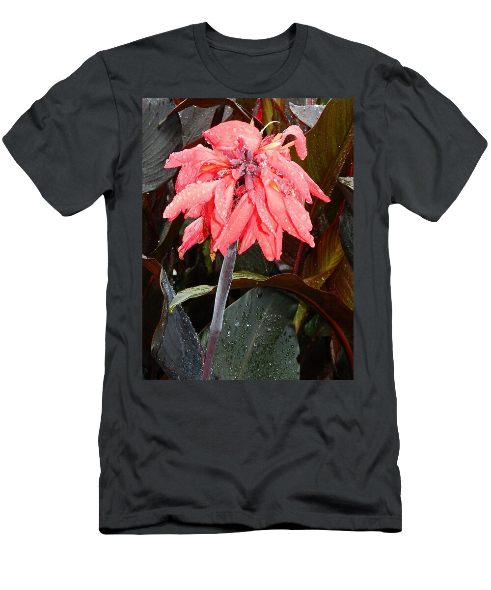Summer Rain In Maryland T-Shirt featuring the photograph Summer Rain In Maryland by Emmy Vickers