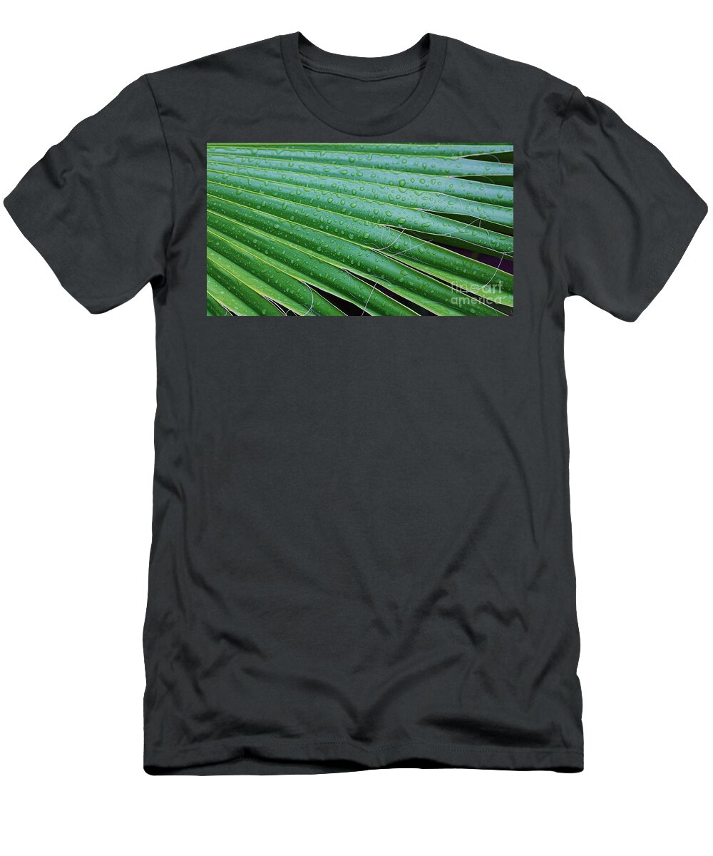 Palm Tree T-Shirt featuring the photograph Summer Rain by Marcia Breznay