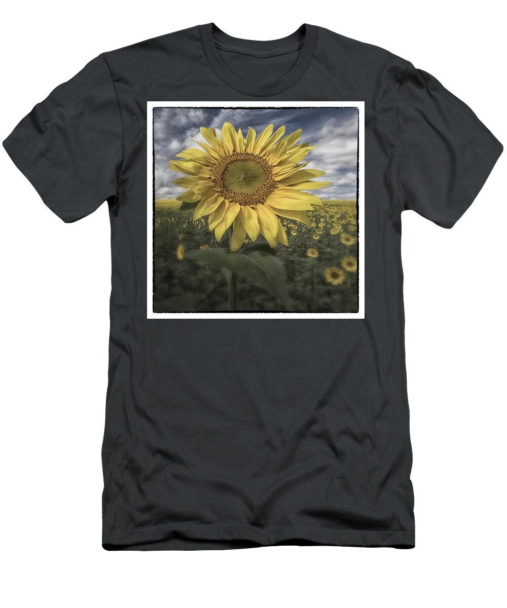 Flowers T-Shirt featuring the photograph Summer Sun by Robert Fawcett