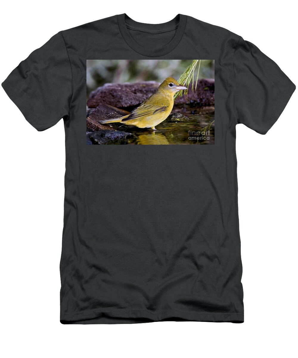 Summer Tanager T-Shirt featuring the photograph Summer Tanager Female In Water by Anthony Mercieca