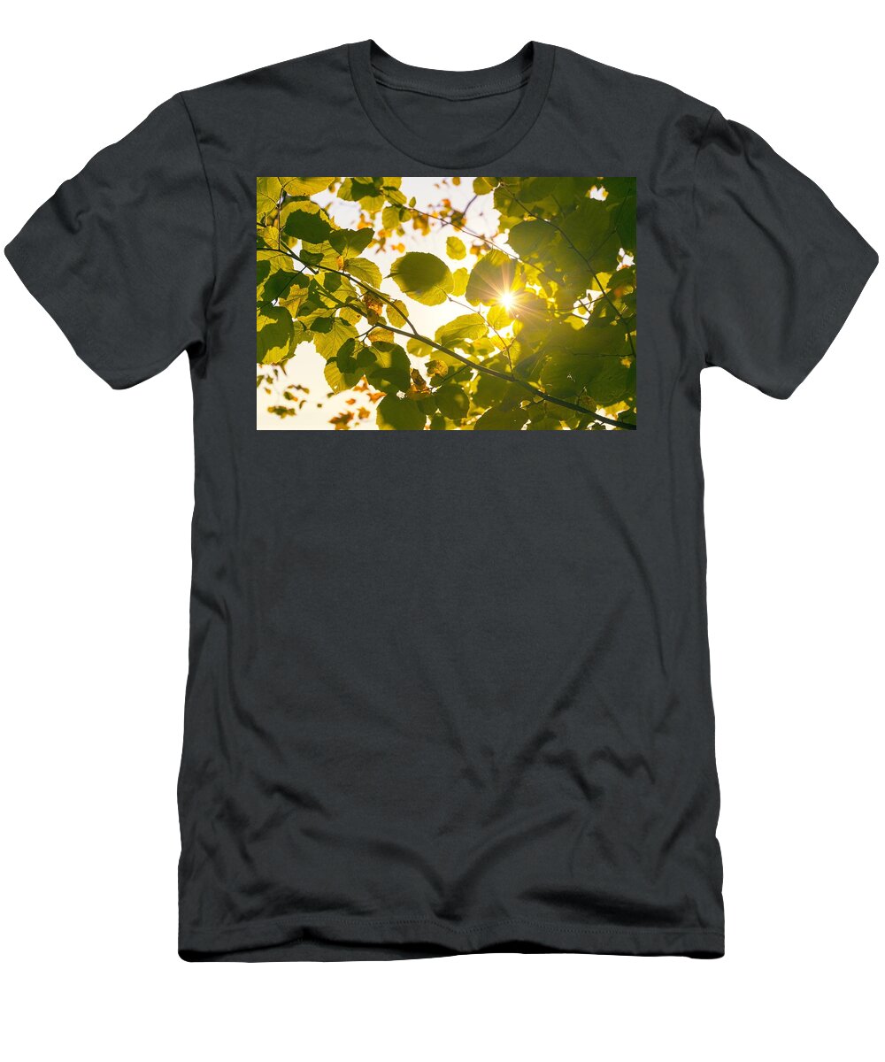 Leaf T-Shirt featuring the photograph Sun shining through leaves by Chevy Fleet