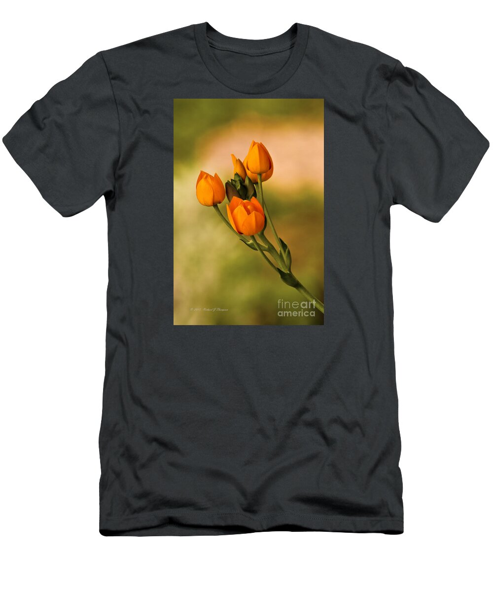Vertical T-Shirt featuring the photograph Sun Star Flower by Richard J Thompson 