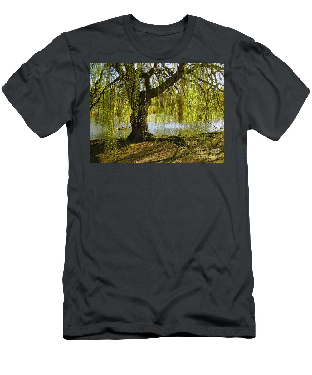 Tree T-Shirt featuring the photograph Sunday In The Park by Madeline Ellis