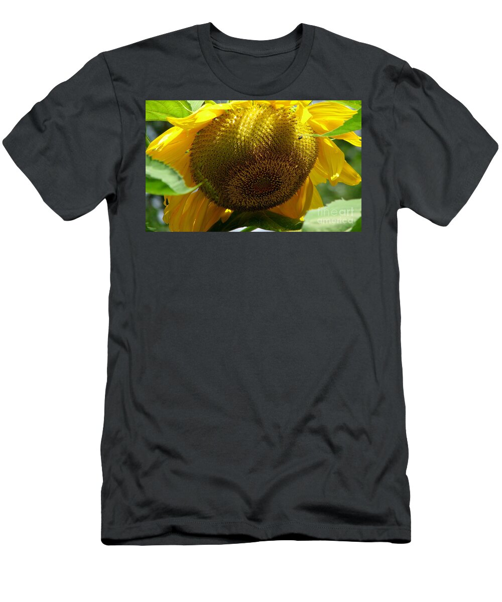 Sunflowers T-Shirt featuring the photograph Sunflower Seed head Macro by Rose Santuci-Sofranko