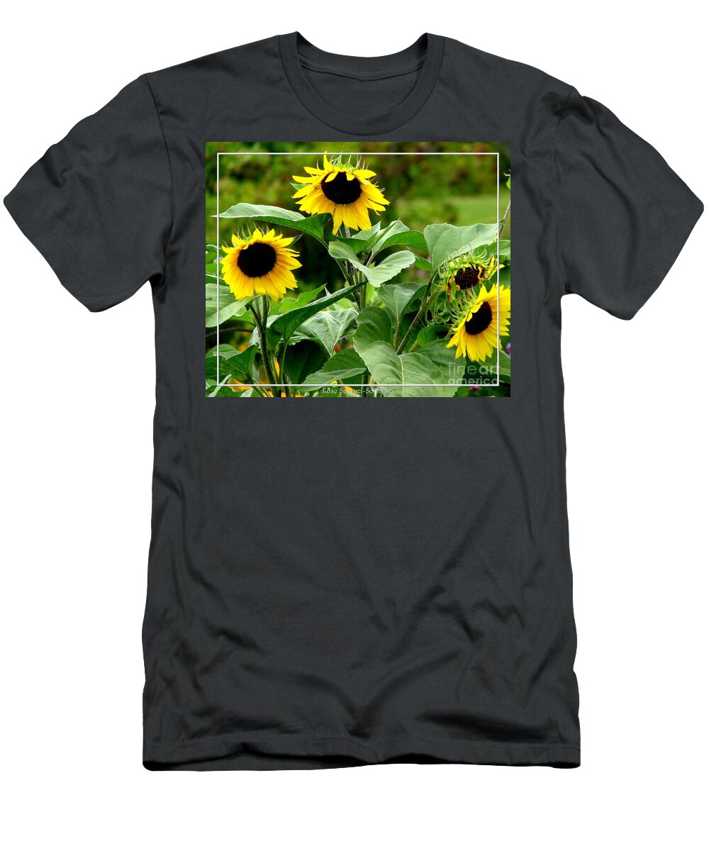 Sunflowers T-Shirt featuring the photograph Sunflowers by Rose Santuci-Sofranko