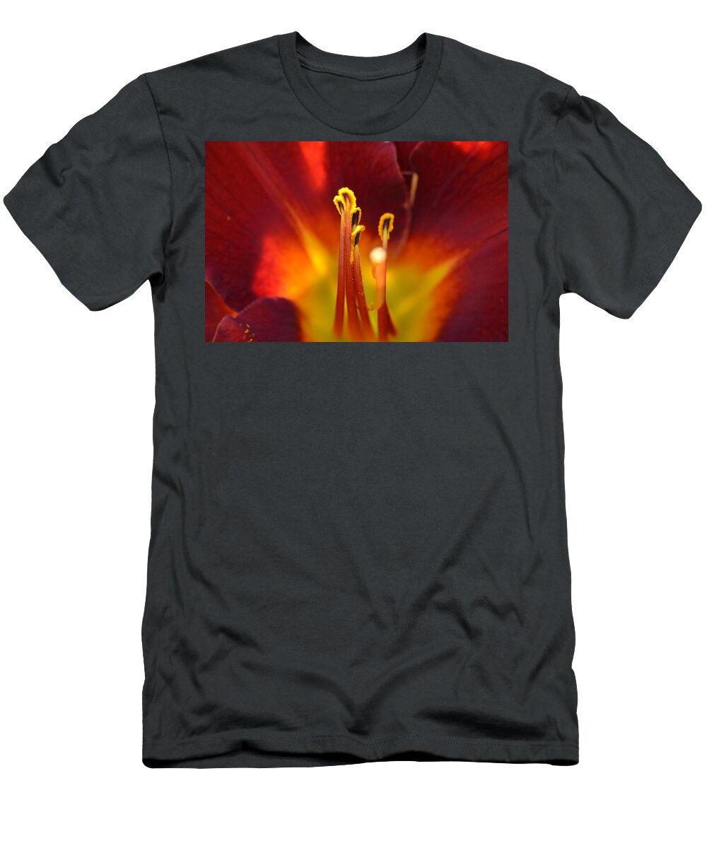 Lily T-Shirt featuring the photograph Sunlit Lily by David Porteus