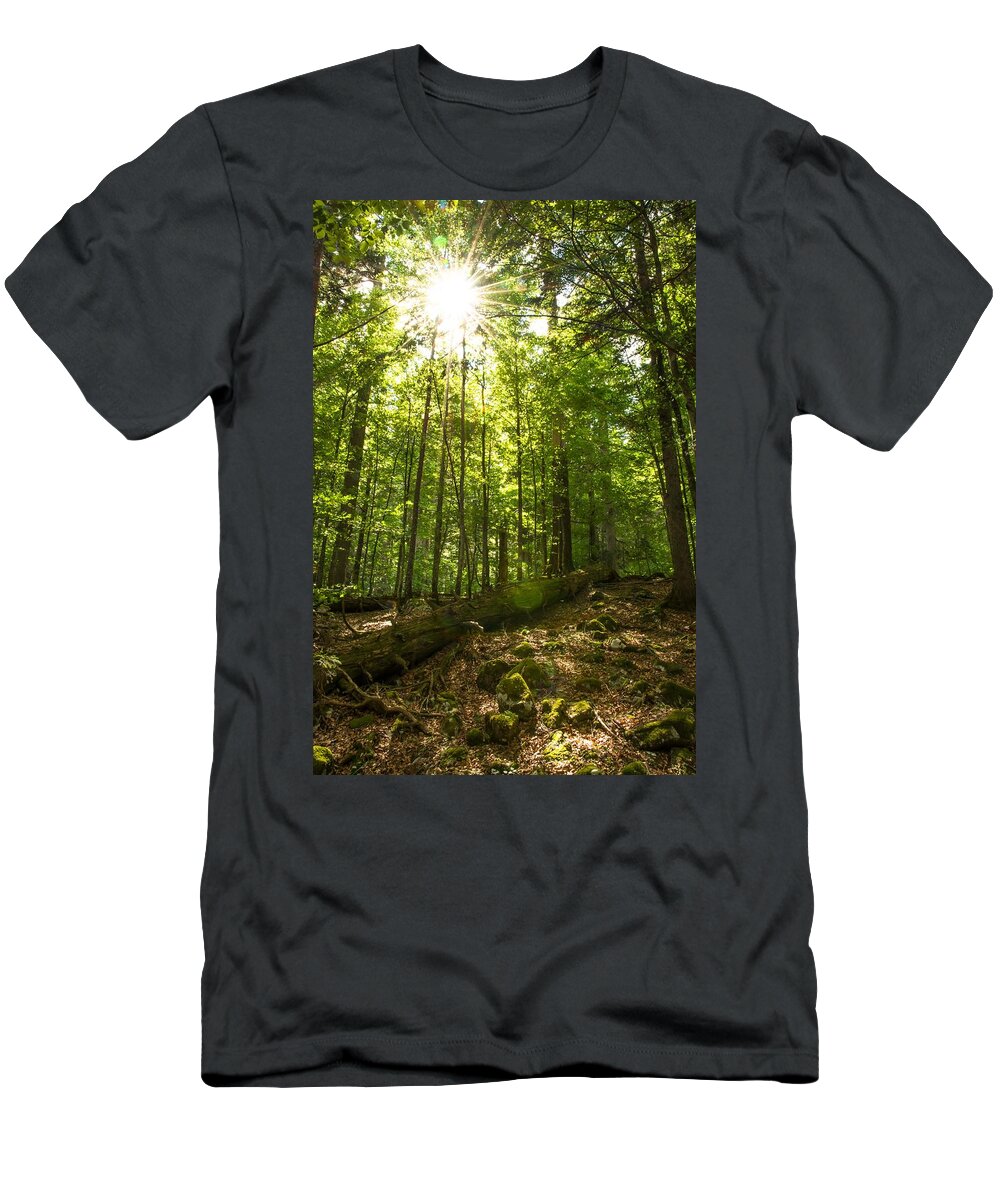Forest T-Shirt featuring the photograph Sunlit Primeval Forest by Andreas Berthold