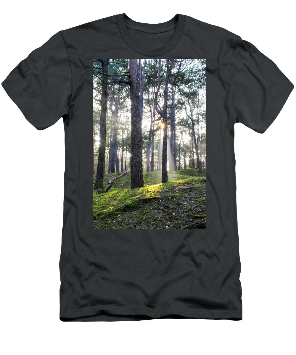 Trees T-Shirt featuring the photograph Sunlit Trees by Spikey Mouse Photography