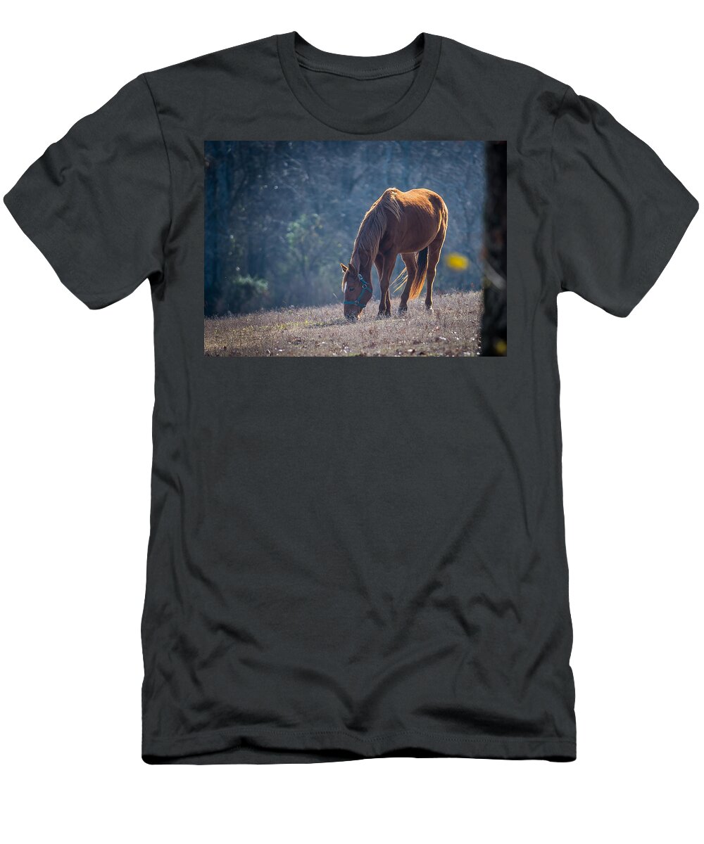 Horse T-Shirt featuring the photograph Sunny by David Downs