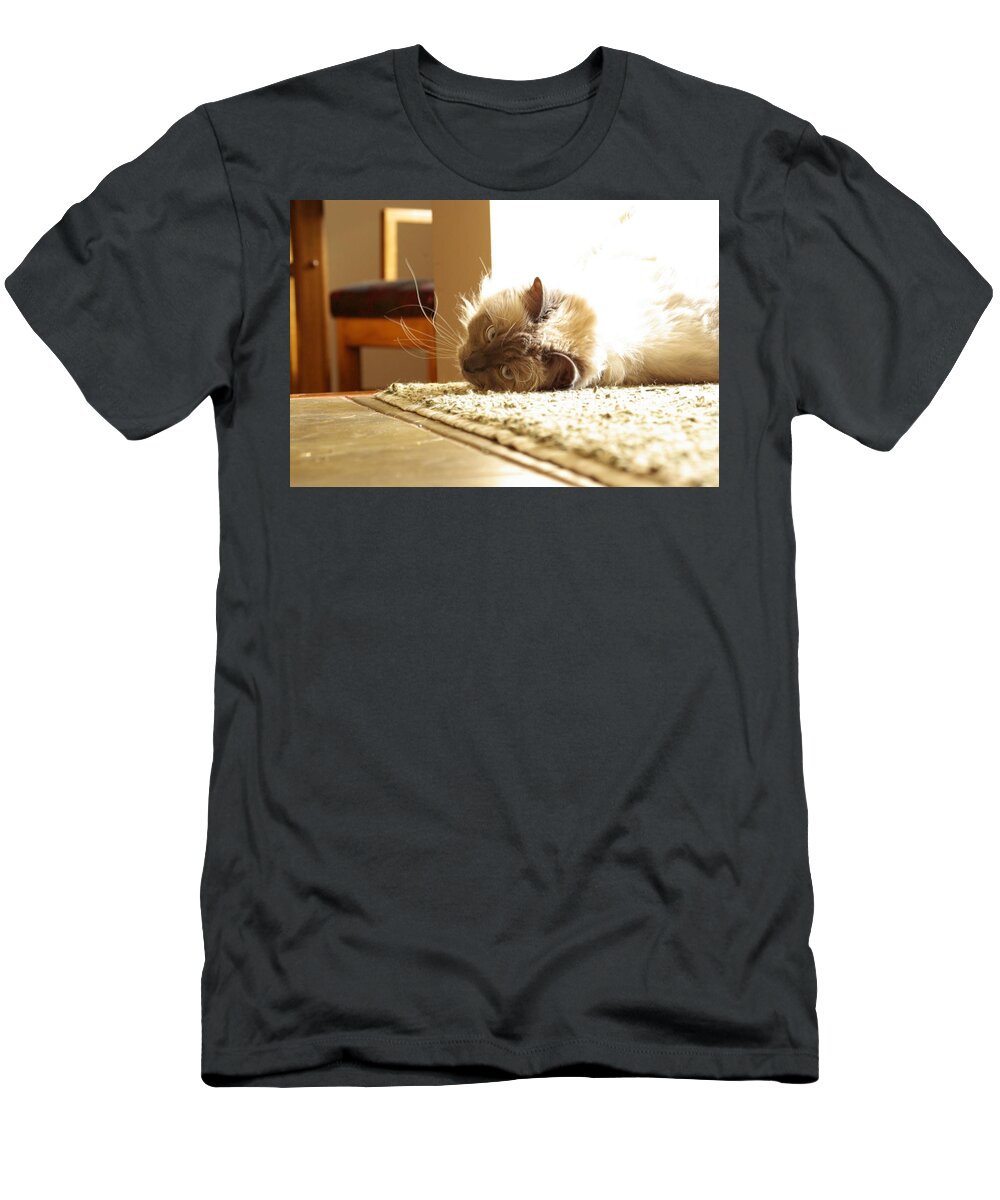 Cat T-Shirt featuring the photograph Sunny Jack by Cindy Johnston