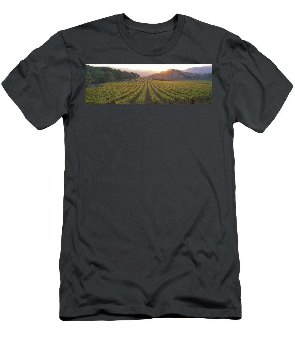Photography T-Shirt featuring the photograph Sunset, Vineyard, Napa Valley by Panoramic Images