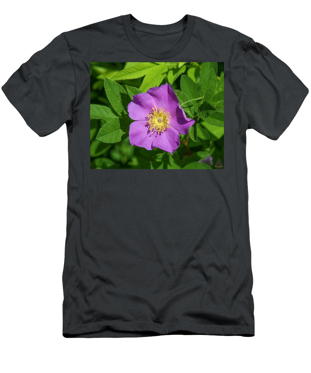 Marsh T-Shirt featuring the photograph Swamp Rose DSMF220 by Gerry Gantt