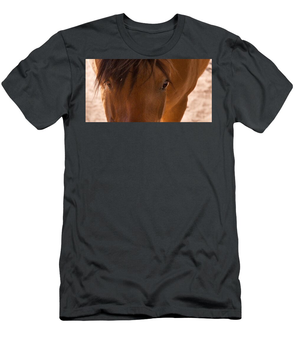 Horse T-Shirt featuring the photograph Sweet Horse Face by Natalie Rotman Cote