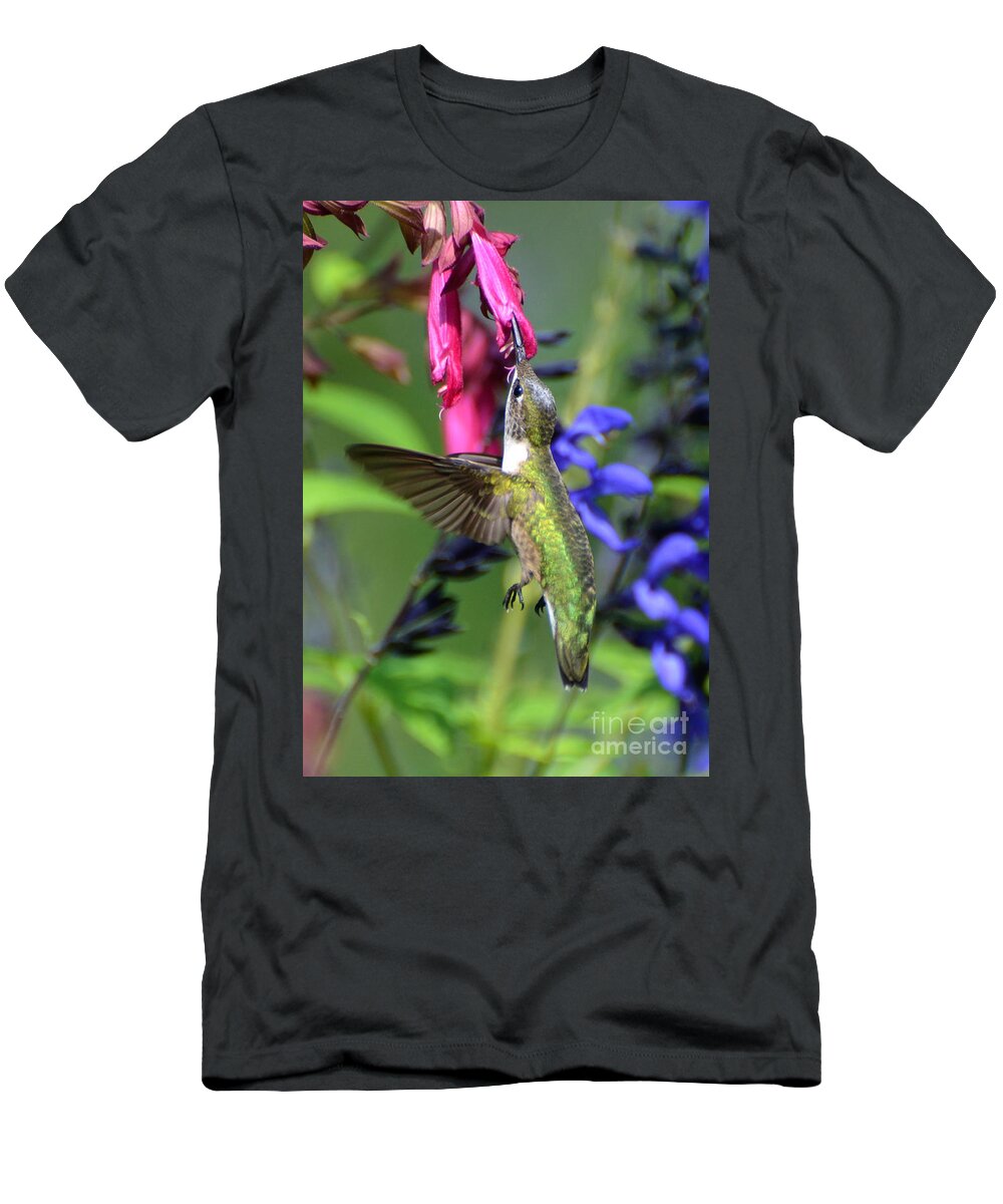 Birds T-Shirt featuring the photograph Sweet Hummer by Kathy Baccari
