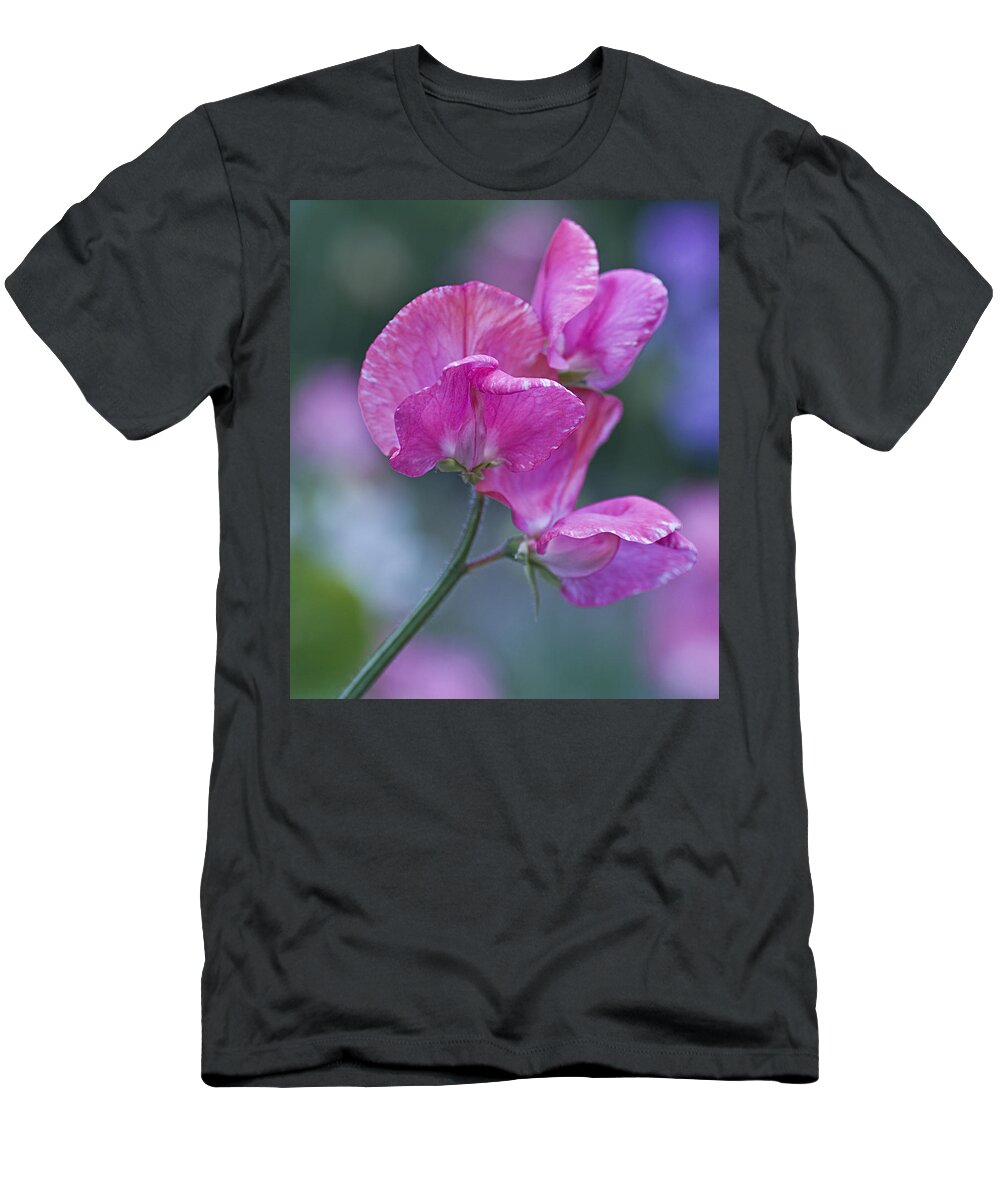 Sweet T-Shirt featuring the photograph Sweet Pea in Pink by Diane Fifield
