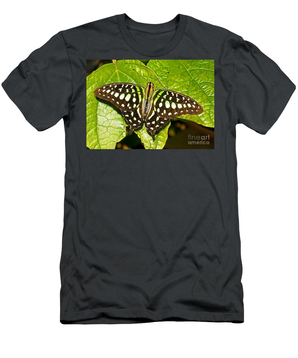 Nature T-Shirt featuring the photograph Tailed Jay Butterfly by Millard H. Sharp