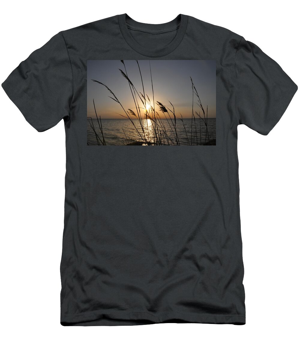 Sunset T-Shirt featuring the photograph Tall Grass Sunset by Bill Cannon