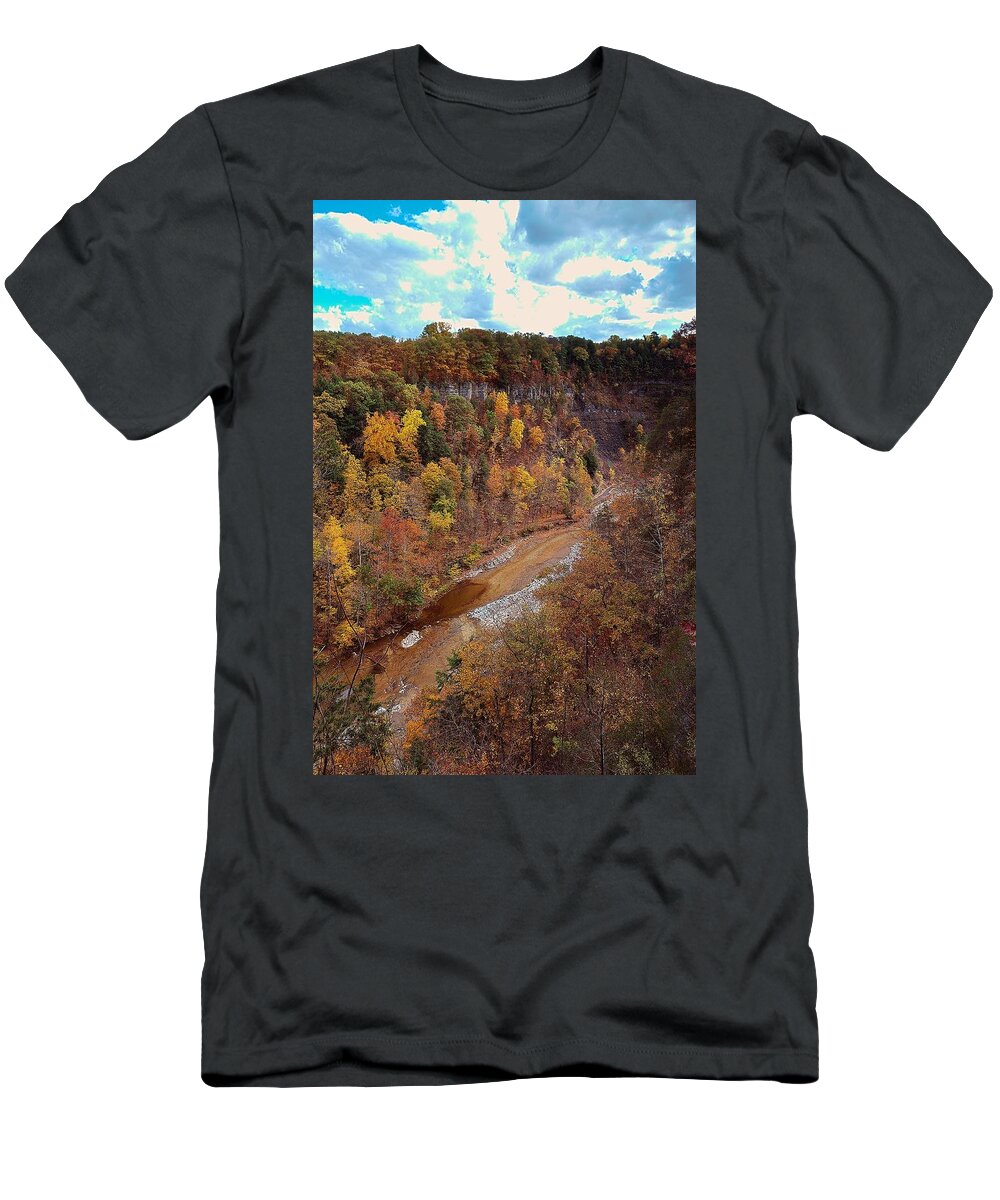 Taughannock T-Shirt featuring the painting Taughannock River Canyon In Colorful Fall Ithaca New York V by Paul Ge