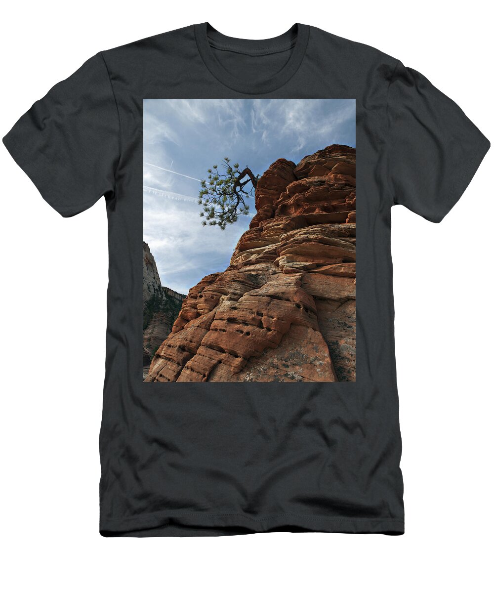 Pine T-Shirt featuring the photograph Tenacity by Joe Schofield