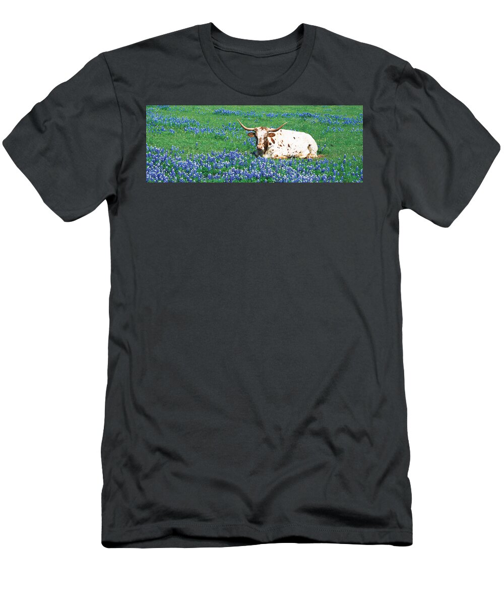 Photography T-Shirt featuring the photograph Texas Longhorn Cow Sitting On A Field by Panoramic Images